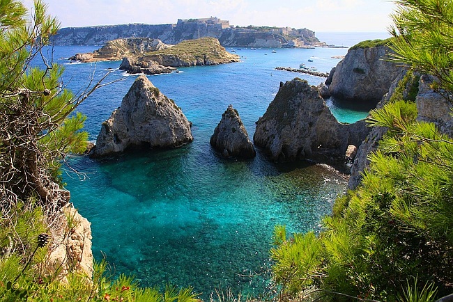 036. Isole Tremiti - San Domino I Pagliai